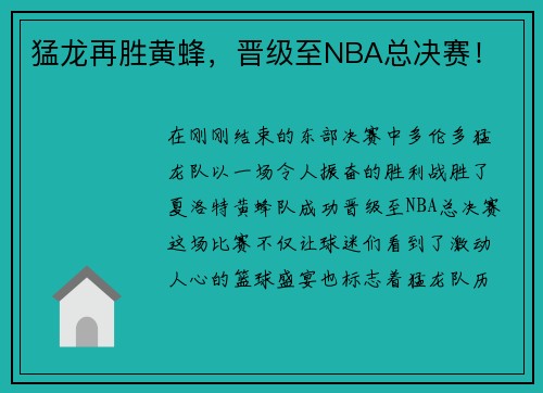 猛龙再胜黄蜂,晋级至NBA总决赛!