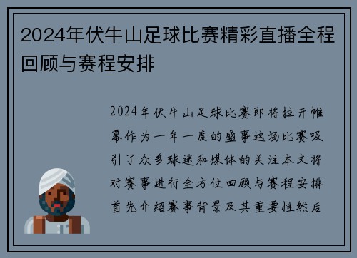 2024年伏牛山足球比赛精彩直播全程回顾与赛程安排